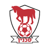 أبناء سخنين logo